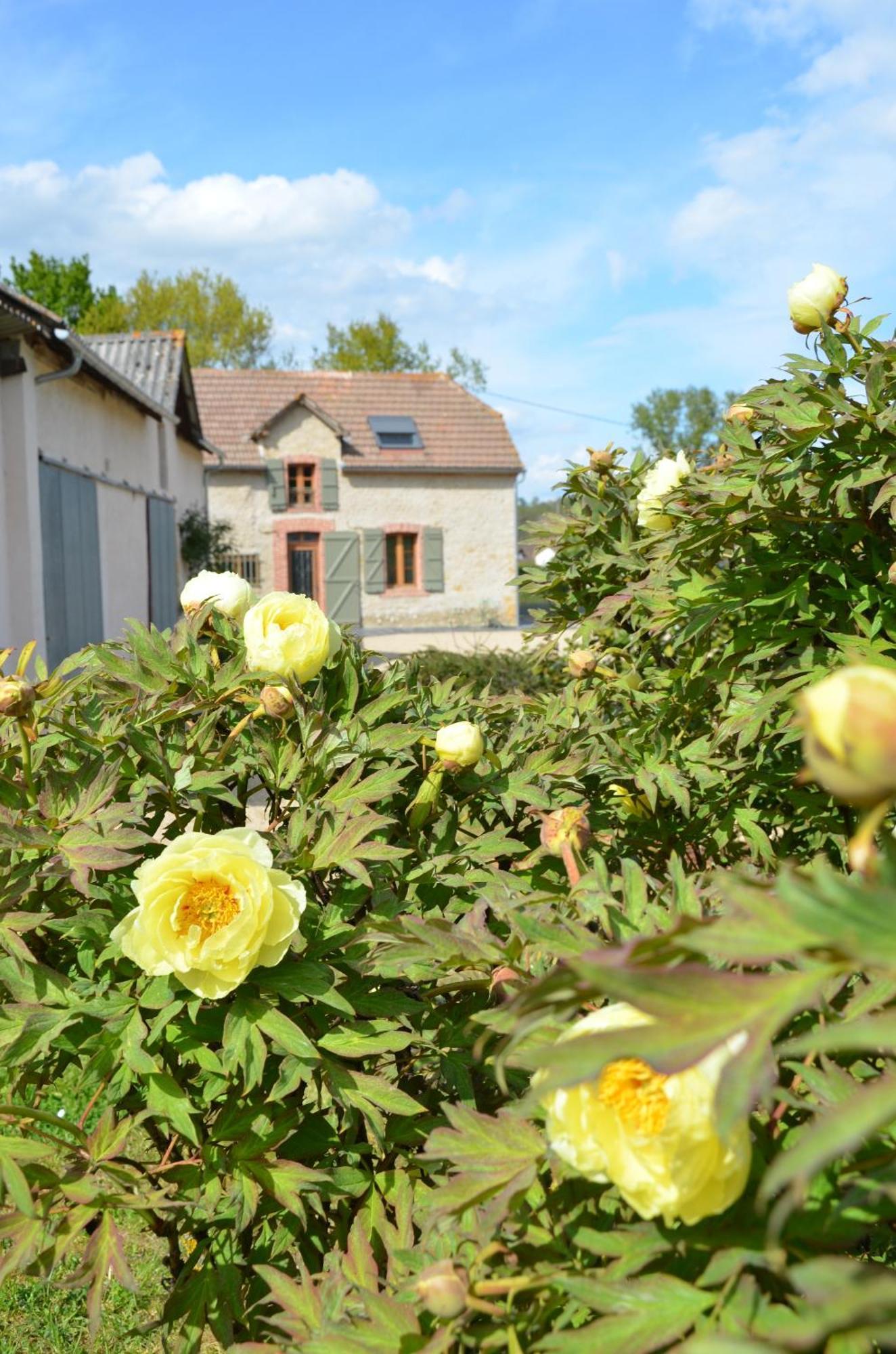 Ecogite Rural La Cle des Champs Peyrelongue-Abos Extérieur photo