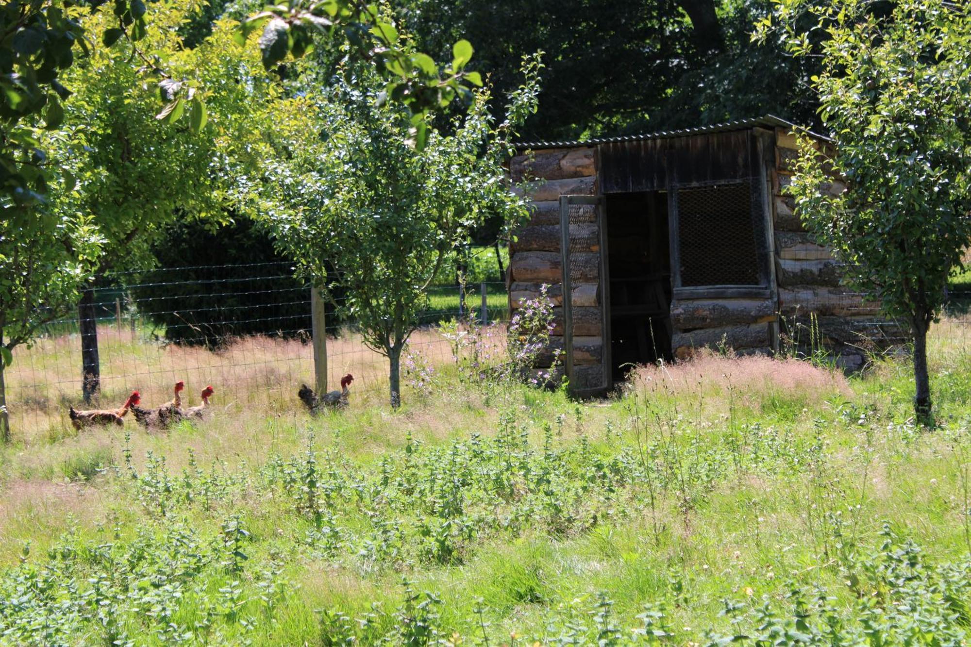 Ecogite Rural La Cle des Champs Peyrelongue-Abos Chambre photo